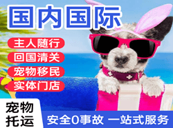 白城航空快递国际宠物托运 【国